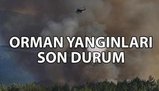 SON DAKİKA ORMAN YANGINI HABERLERİ 📌 Orman yangınları söndürüldü mü? İzmir, Tekirdağ, Bursa, Antalya, Kahramanmaraş, Sakarya, Bilecik orman yangını son durum