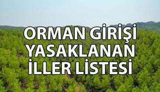 ORMAN GİRİŞİ YASAKLANAN İLLER 📍 Hangi illerde ormanlara giriş yasaklandı? İstanbul'da girişi yasak olmayan piknik alanları
