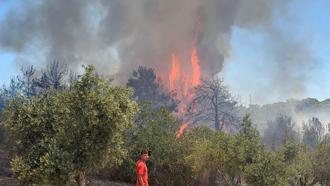 Antalya Aksu'da orman yangını