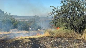 Osmaniye'de anız yangını ormana sıçradı