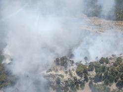 Mersin'de orman yangını