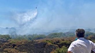 Bakan Yumaklı: Antalya ve Çanakkale'deki yangınlar kontrol altında