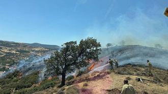 Çanakkale’de korkutan yangın! Havadan ve karadan müdahale başladı