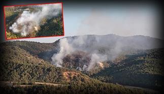 Bolu'da orman yangını kontrol altında