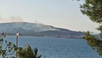 Cunda Adası’nda orman yangını