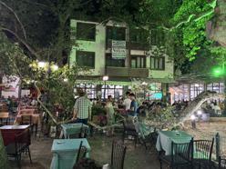 Anıt ağacın dalı düştü: 1 yaralı