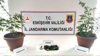 Eskişehir'de evinin balkonunda Hint keneviri yetiştirdiği iddia edilen şüpheli yakalandı