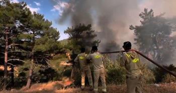 Mersin'deki orman yangını 2'nci gününde