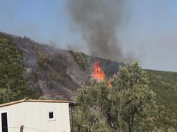 Bursa'da orman yangını soruşturmasında 1 gözaltı