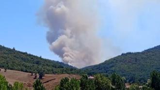 Bursa’da orman yangını