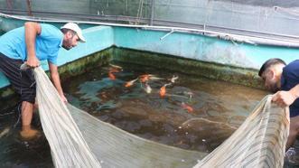 Akvaryum merakıyla başladı! 50 dönüm alanda kurdu: Bu sektörü kimse bilmiyor