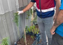 Mersin’de uyuşturucu operasyonu: 2 gözaltı