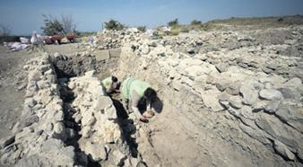 Lidyalılar köpek eti tüketiyordu