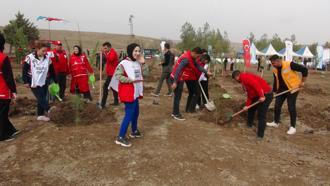 Kilis’te fidanlar toprakla buluştu