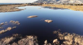 Yağışlarla birlikte suyla dolan Milleyha Kuş Cenneti dron ile görüntülendi