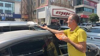 Martı ‘Pamuk’ esnafın maskotu oldu