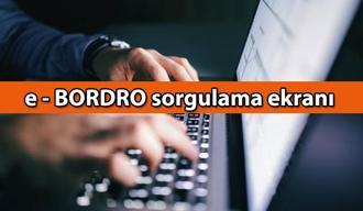 e Devlet Giriş: turkiye.gov.tr ❗ e Bordro yayınlandı mı? 2025 e Bordro ne zaman yayınlanacak? e Devlet'ten kimler e bordro görebilir?