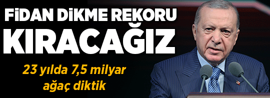 Cumhurbaşkanı Erdoğan: Bugün fidan dikme rekorunu inşallah kıracağız