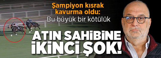 Şampiyon yarış atı 'kavurma' olan iş insanına ikinci şok
