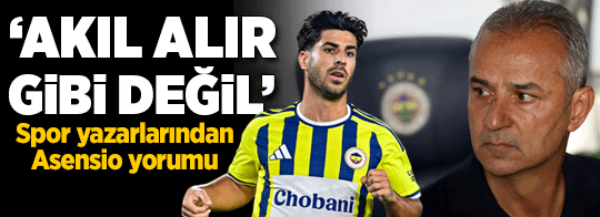 Halil Özer'den Asensio yorumu: Akıl alır gibi değil