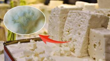 Küflenmiş peynir için 2 cm kuralı Kıvamı yumuşaksa ağzınıza bile sürmeyin, zehirliyor