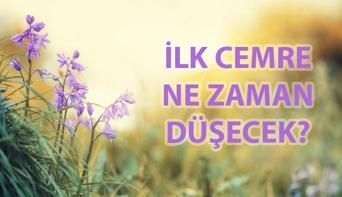 CEMRELER NE ZAMAN DÜŞECEK 🌷 İlk cemre ne zaman, hangi ayda düşecek Birinci, ikinci, üçüncü cemre düşme tarihleri...