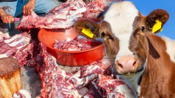 Kurban eti hiç ziyan olmuyor, doğru kesen yaşadı En lezzetli ve değerli yeriymiş