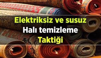 En pratik halı temizliği Elektrik ve su harcamadan tozu kaldırıp parlatın