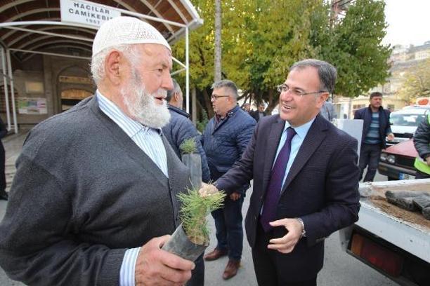 Hacılar Belediyesi fidan dağıttı