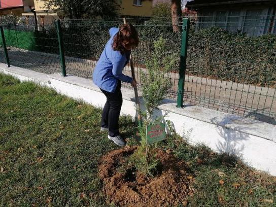 Tekirdağ'da şehit öğretmenler için fidan diktiler