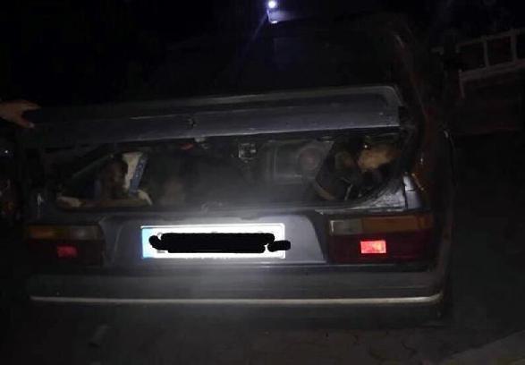 Kırklareli'de belgesiz avlanan 3 kişiyi yasal işlem yapıldı