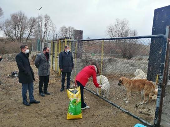 Öğrencilerden barınaktaki köpeklere mama desteği