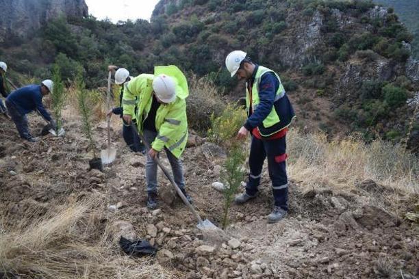 Enerji şirketinden 3 yılda 1 milyon ağaç