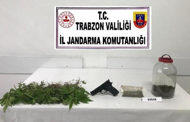 Trabzon'da jandarmadan uyuşturucu baskını: 1 gözaltı