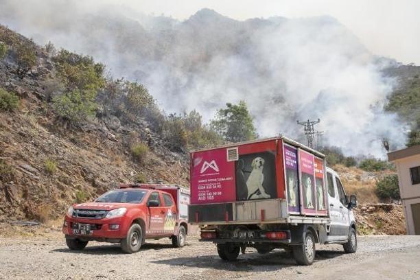 Büyükşehir, yangından etkilenen hayvanlar için yardıma koştu