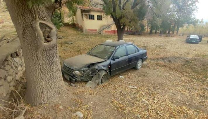 Seyir halinde kalp krizi geçiren sürücü ağaca çarparak öldü