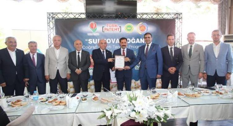 Suluova Soğanı coğrafi işaretle tescillendi