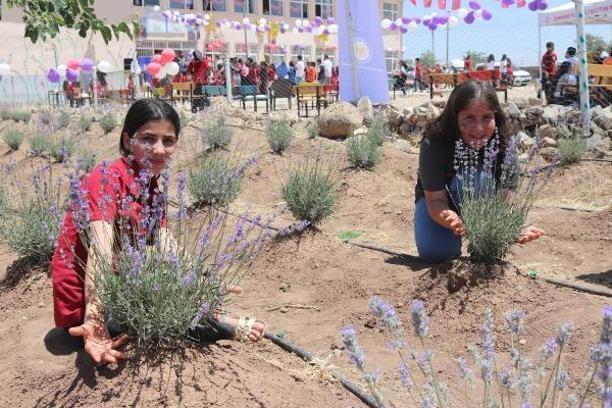 Şırnak’ta köy okulunda lavanta festivali