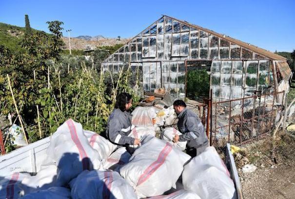 Konyaaltı'nda sera üreticisine ücretsiz yakıt desteği