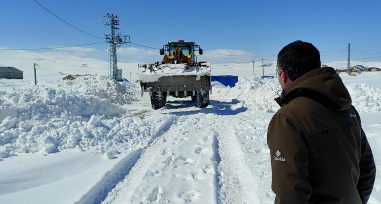 Kars'ta 'kar kaplanları'nın 2 bin 300 rakımda zorlu mücadelesi