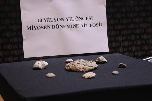Kayseri'de 10 milyon yıllık fosil ele geçirildi