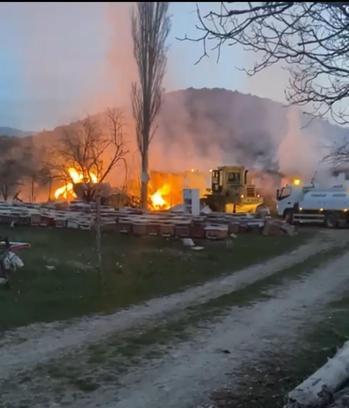 Çankırı'da ahır yandı; 21 büyükbaş öldü