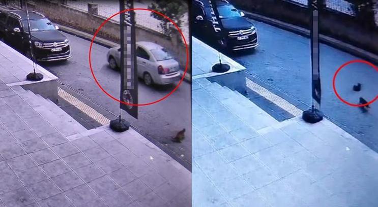 Mardin’de vahşet! Polis kaçan sürücüyü yakaladı