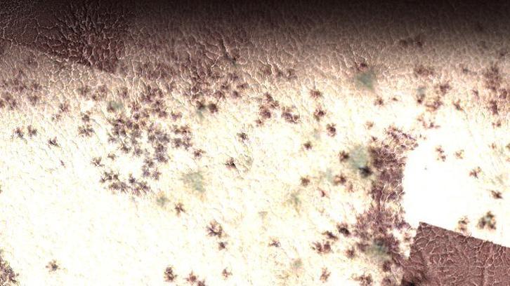 Mars'ta 'örümcekler' görüldü! Uzay aracı yakaladı, eşi benzeri yok