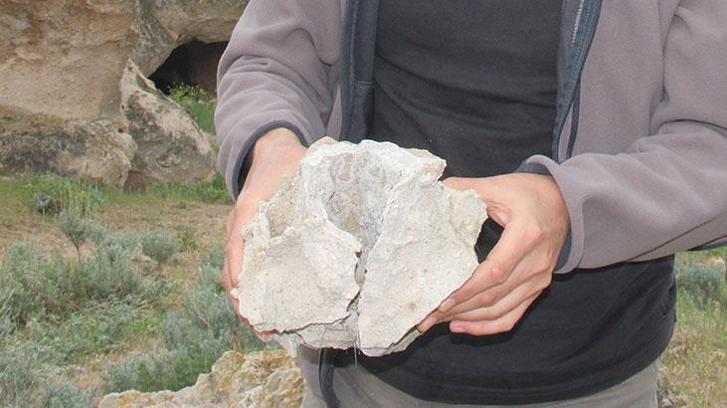 Kayseri'de 10 milyon yıllık ağaç fosilleri bulundu