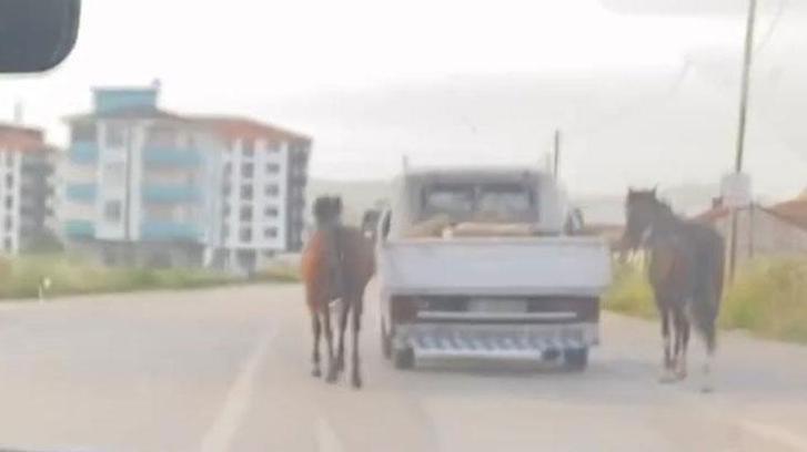 Tepki çeken görüntü! Aracın arkasında bağladığı atları koşturdu