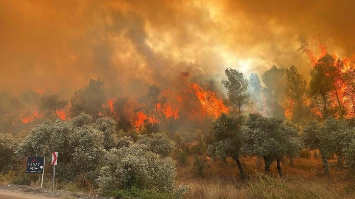 Vali Akbıyık'tan orman yangını uyarısı
