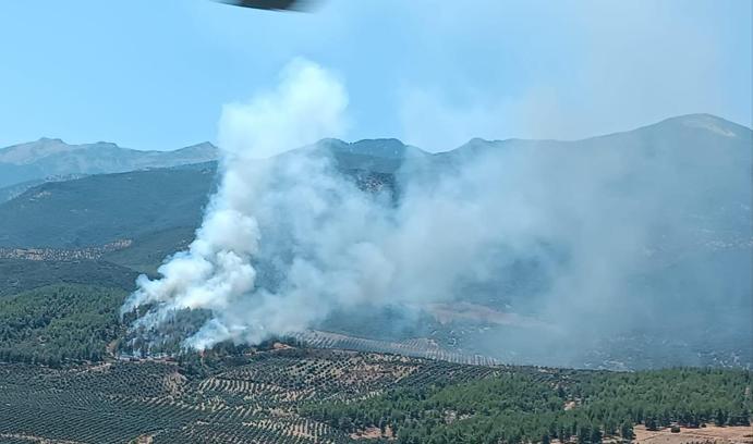 Hatay'da orman yangını büyümeden kontrol altına alındı