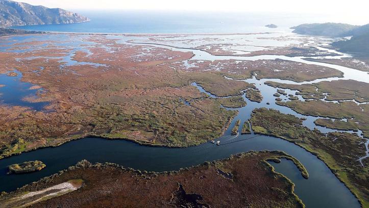 Dalyan Kanalı'nın labirent görünümlü sazlıkları