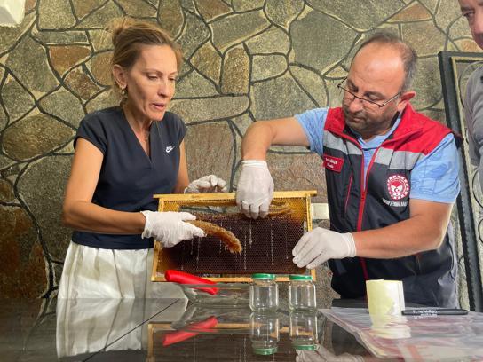 Hacettepeli bilim insanlarından Anzer balı sağımı